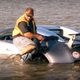 Illustration for article titled The Guy Who Crashed A Bugatti Into A Lake Has Been Sentenced To A Year In Federal Prison